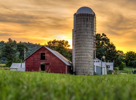 11-30MicroFarm_web 11-30MicroFarm_web
