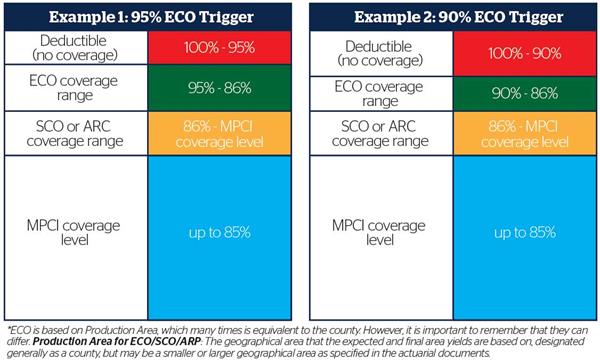 ECO_Chart_Centered ECO_Chart_Centered
