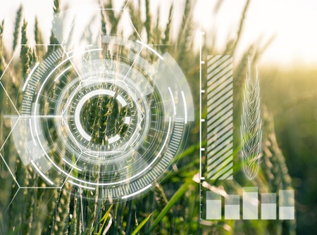 Farm_Story Farm_Story