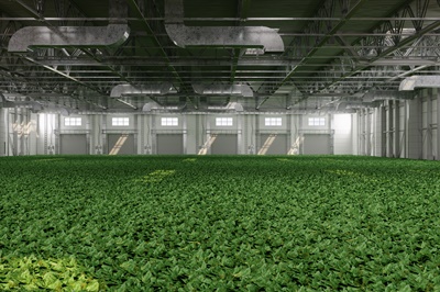 GettyImages-1953274181 GettyImages-1953274181