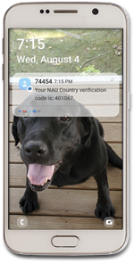 MFA - Agent - SMS Mobile Notification MFA - Agent - SMS Mobile Notification