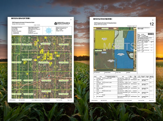OrderMapBooks_web OrderMapBooks_web
