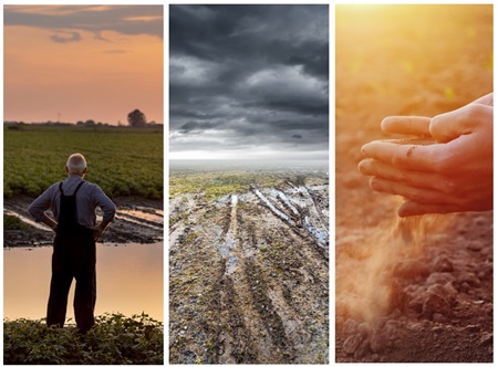 ThreeC_web ThreeC_web