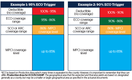 Enhanced Coverage Option Chart