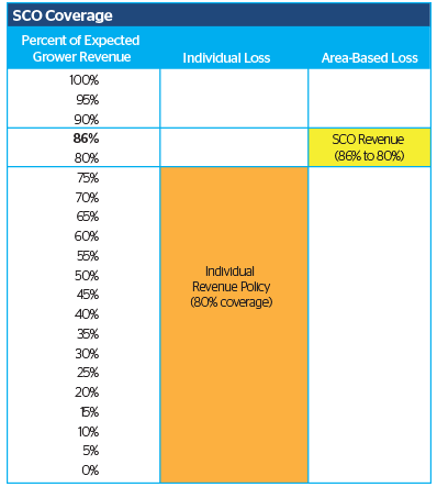 Supplemental Coverage Option (SCO)