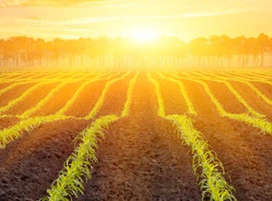 MoveUp_story MoveUp_story