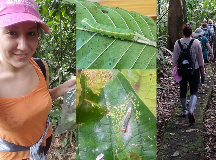 NAU Country’s Eden Schneider was selected to participate in the “Climate Change and Caterpillars in Costa Rica” expedition that was stationed at the La Selva Biological Station in Costa Rica. 
