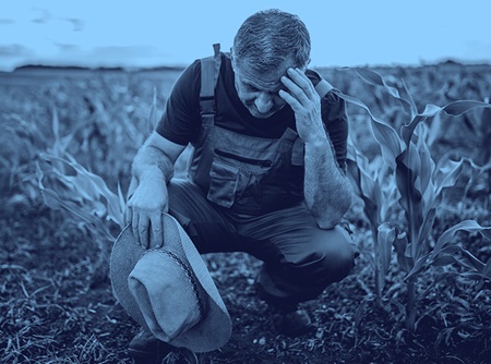 StressTraining_web StressTraining_web